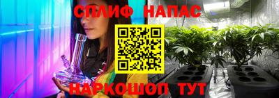 мдпв Обь