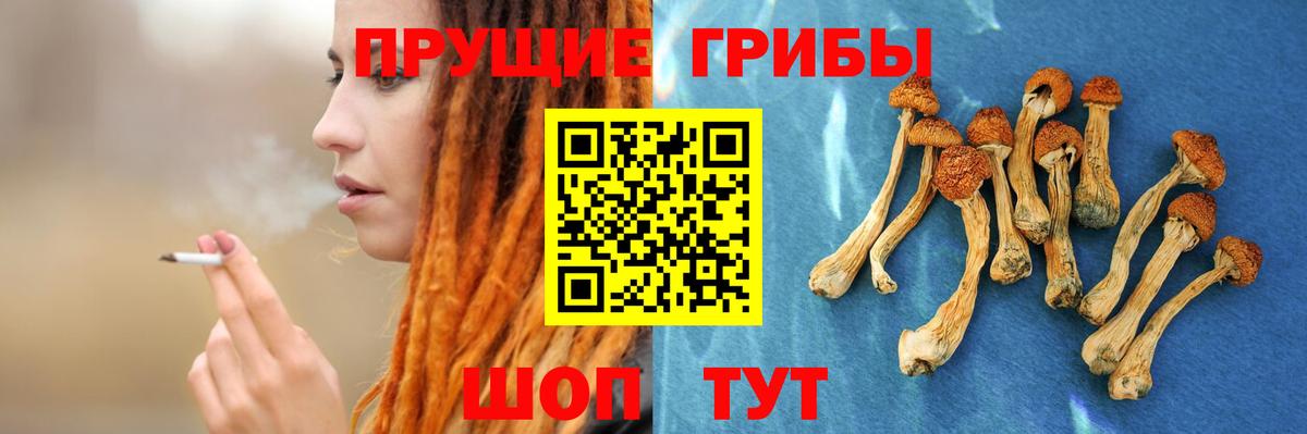 Псилоцибиновые грибы GOLDEN TEACHER  Вход с VPN  Соль-Илецк  Псилоцибиновые грибы GOLDEN TEACHER 